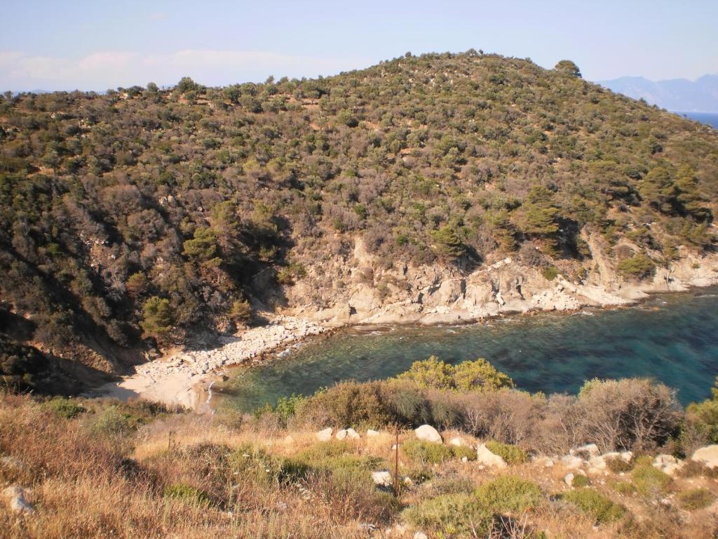 Vergina Pension Sarti Exterior photo